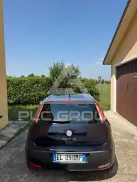 2026 Fiat Punto