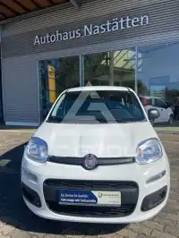 2026 Fiat Unknown