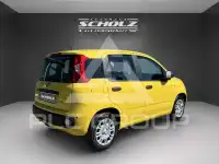 2026 Fiat Unknown