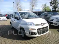 2026 Fiat Panda
