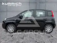 2026 Fiat Panda