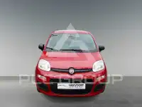 2026 Fiat Panda