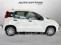 2026 Fiat Panda