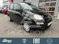 2026 Fiat Panda