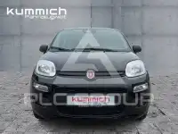 2026 Fiat Panda