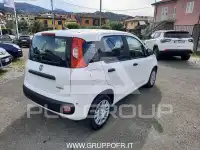 2026 Fiat Panda