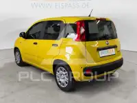 2026 Fiat Panda