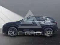 2026 Lexus NX250