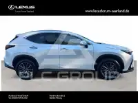 2026 Lexus NX250