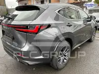 2026 Lexus NX250