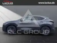 2026 Lexus NX250