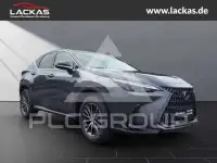 2026 Lexus NX250