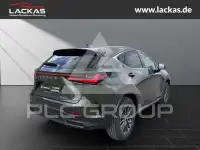 2026 Lexus NX250