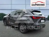 2026 Lexus NX250