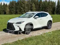 2026 Lexus NX250