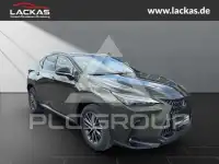 2026 Lexus NX250