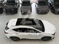 2026 Lexus NX450