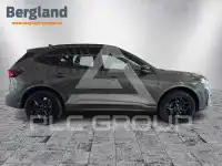 2026 Ford Kuga