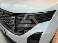 2026 Ford Tourneo