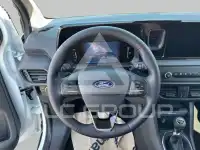 2026 Ford Tourneo