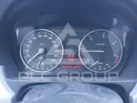 2009 BMW 318