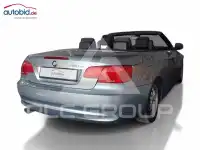 2010 BMW 320
