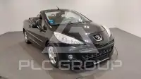 2010 Peugeot 207