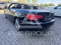 2013 BMW 318