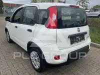 2023 Fiat Panda
