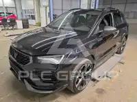 2024 Cupra Other
