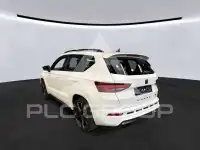 2024 Cupra Other