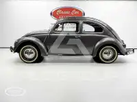 1957 Volkswagen BEETLE
