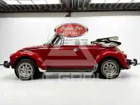 1976 Volkswagen BEETLE