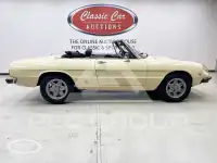 1977 Alfa Romeo Spider